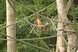 leipzig zoo-01_07_2011_zoo_allgemein_220